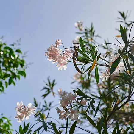 Glamping Cote D'azur Glamping